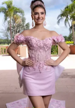 Vizcaya Quinceanera 4080024
