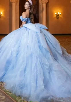 Vizcaya Quinceanera 4080020