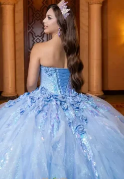 Vizcaya Quinceanera 4080020