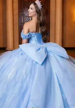 Vizcaya Quinceanera 4080020