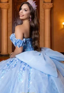 Vizcaya Quinceanera 4080020