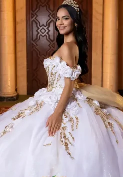 Vizcaya Quinceanera 4080020