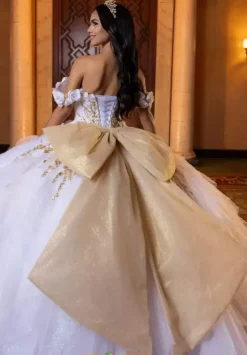 Vizcaya Quinceanera 4080020