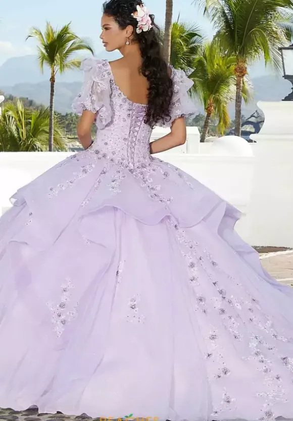 Vizcaya Quinceanera 34074