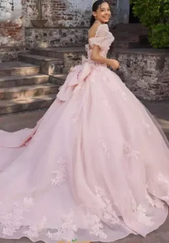 Vizcaya Quinceanera 89542