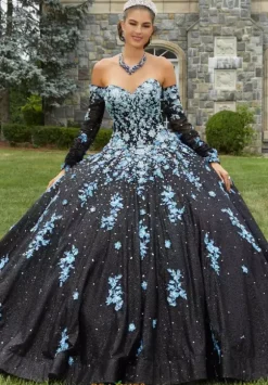 Vizcaya Quinceanera 89415