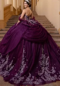 Vizcaya Quinceanera 4080019