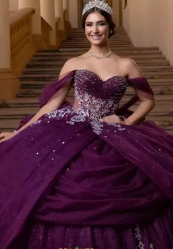 Vizcaya Quinceanera 4080019