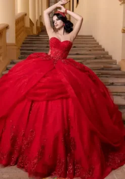 Vizcaya Quinceanera 4080019