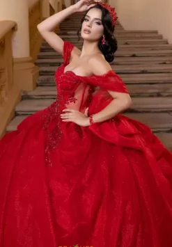 Vizcaya Quinceanera 4080019