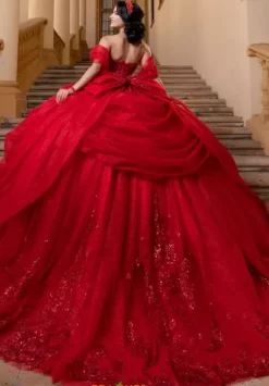 Vizcaya Quinceanera 4080019