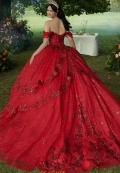 Vizcaya Quinceanera 34103